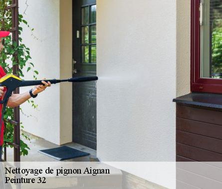 Nettoyage de pignon  aignan-32290 Peinture 32