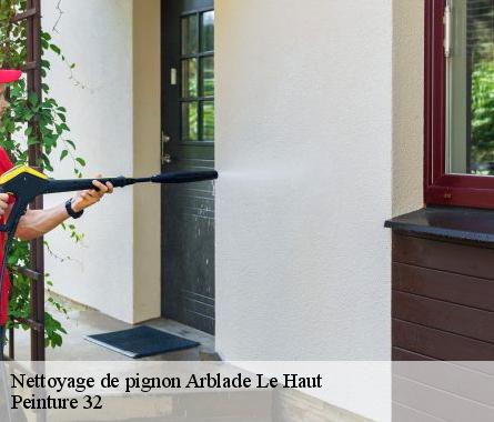 Nettoyage de pignon  arblade-le-haut-32110 Peinture 32