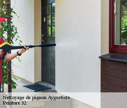 Nettoyage de pignon  ayguetinte-32410 Peinture 32