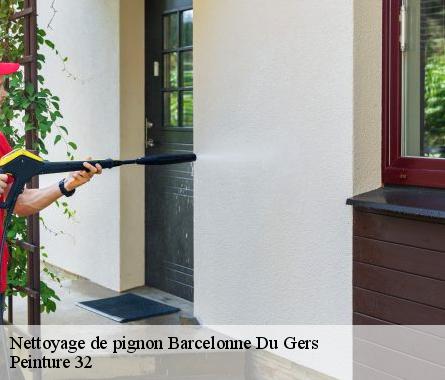 Nettoyage de pignon  barcelonne-du-gers-32720 Peinture 32