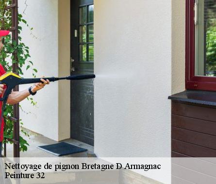 Nettoyage de pignon  bretagne-d-armagnac-32800 Peinture 32