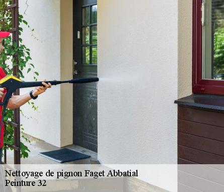 Nettoyage de pignon  faget-abbatial-32450 Peinture 32