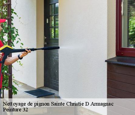 Nettoyage de pignon  sainte-christie-d-armagnac-32370 Peinture 32