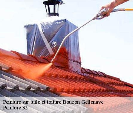 Peinture sur tuile et toiture  bouzon-gellenave-32290 Peinture 32